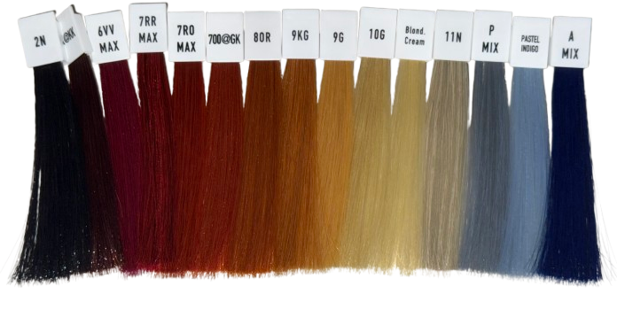 IMG 7390 removebg preview Services