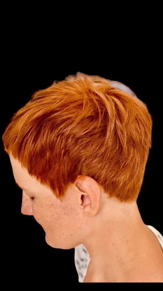 IMG 4669 21b7595a Gallery