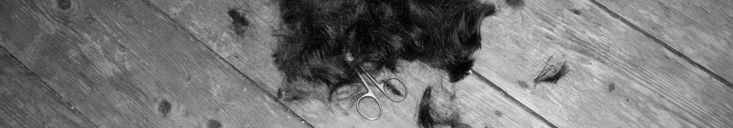 featured 1755821022.480706 Beauty Blog