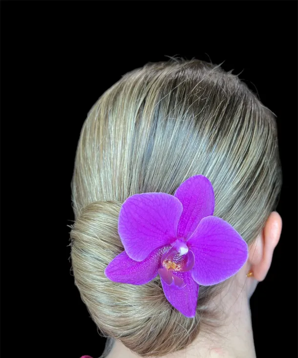 Photoroom 20240310 105510 e1711121071823 ccdfae71 Gallery