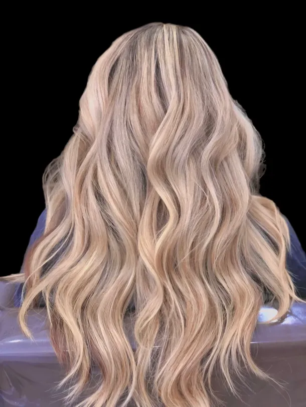 IMG 6075 e785c633 Gallery